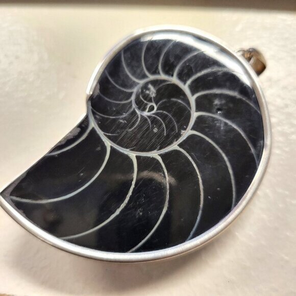 Nautilus Shell Pendant with 925 Sterling Silver- NEW! - Picture 3 of 14